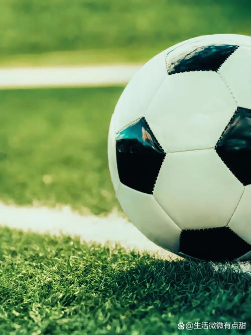 数据分析研究者